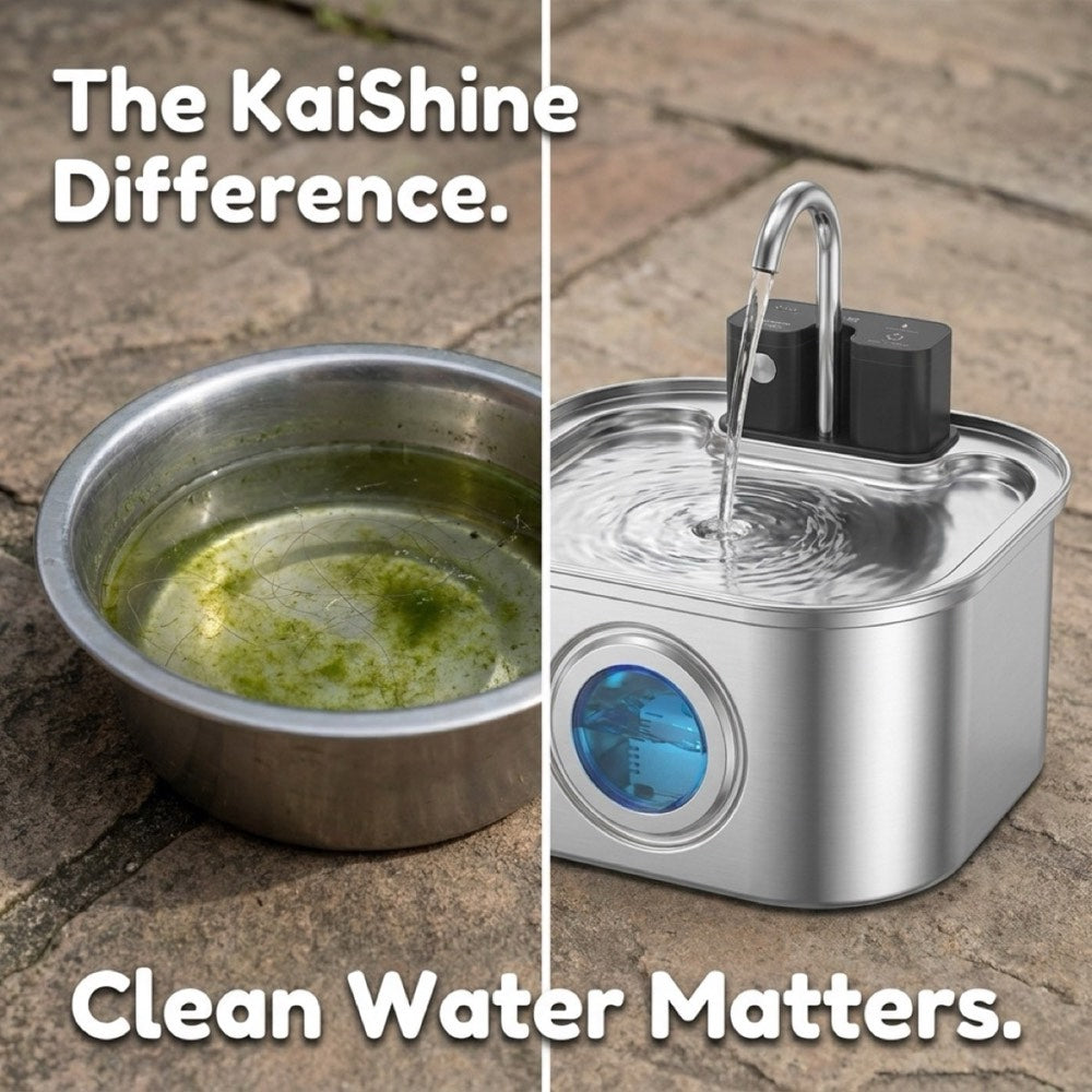 Stagnant bowl water vs. the clean flowing KaiShine stream