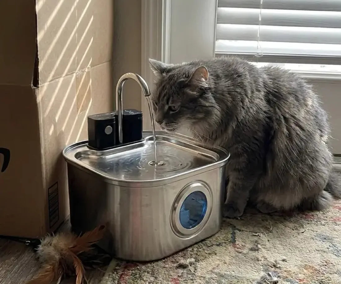 A relaxed cat drinking right next to the quiet KaiShine pump