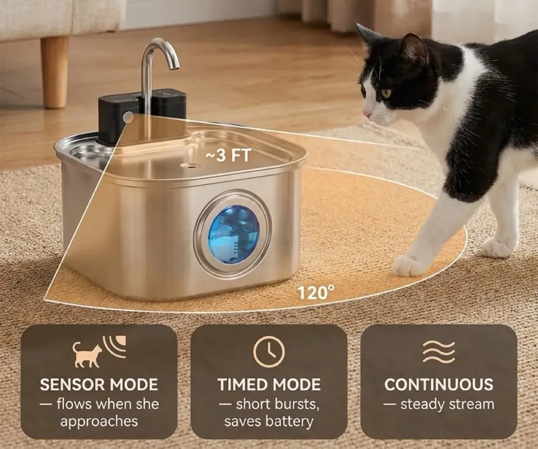 Sensor mode starts the stream when a cat is within about 3 feet; timed and continuous modes also available