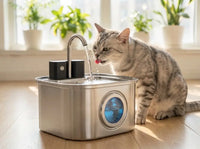 Tabby cat drinking from the KaiShine stream