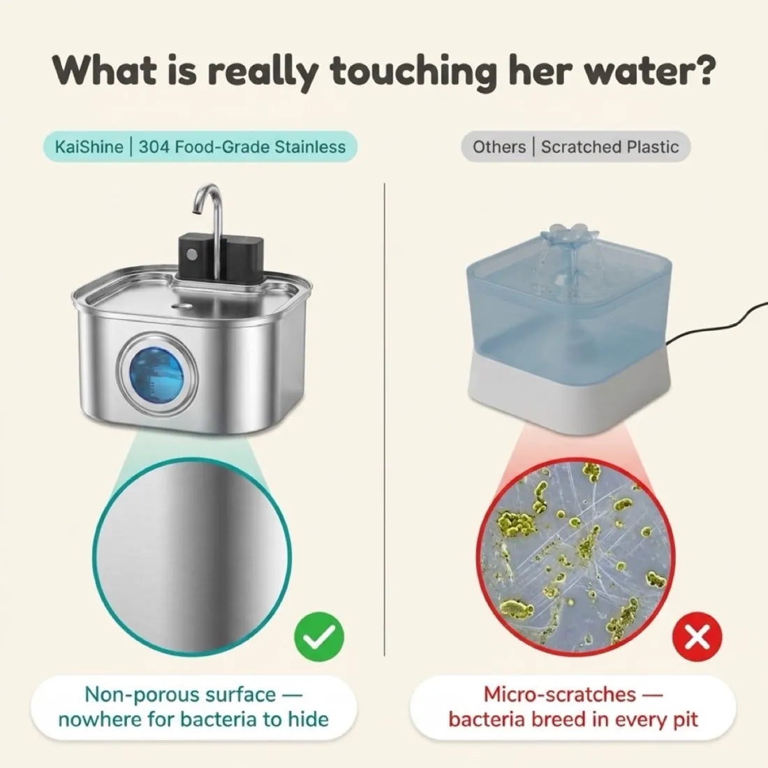 Stainless steel versus scratched plastic — where bacteria hide