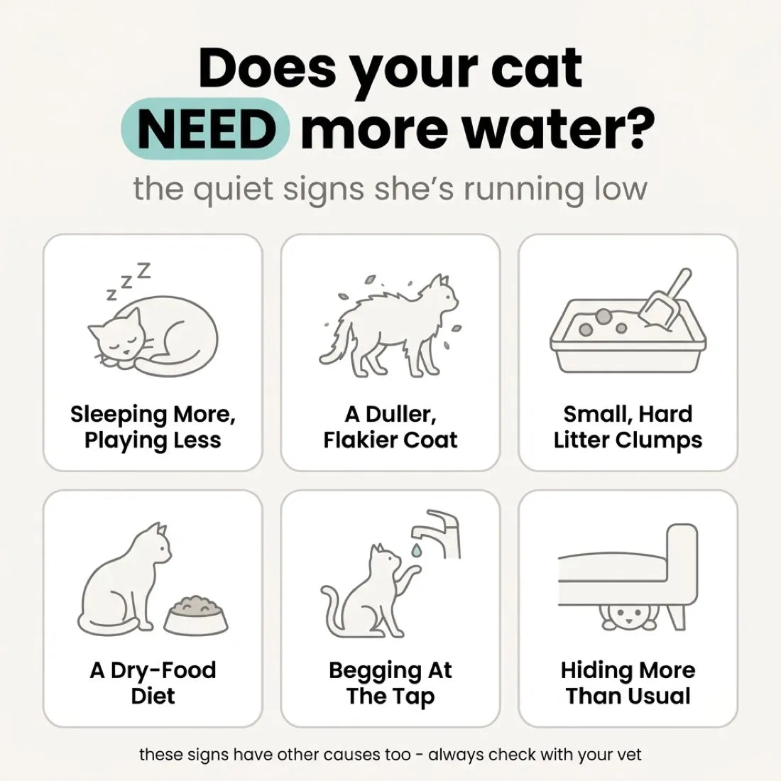 Signs your cat may not be drinking enough