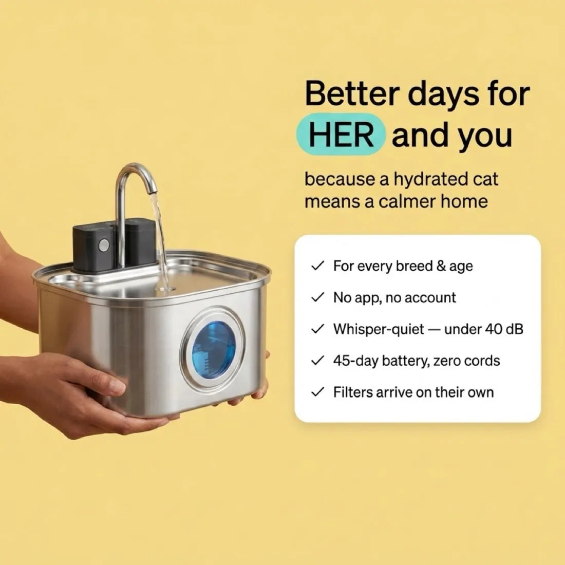 Better days for her and you — key KaiShine features